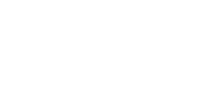 vivileo